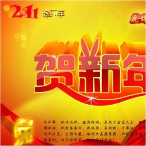 晨阳网络祝贺大家在新的一年中事事如意！