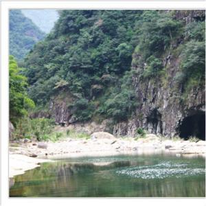 梅岐乡位于景宁县东南方向,东经119°45＇,北纬27°54＇，距县城37公里, 是景宁县五个边远贫困高山乡之一,也是第二次国内革命战争时期老区。梅岐乡东界文成县,南接渤海镇,西连金钟乡.北邻鹤溪镇。总土地面积86.7平方公里,其中耕地面积2665亩,山林面积78643亩,毛竹8000亩,有省级公益林5700亩,全乡行政村9个,自然村40个,村民小组49个,963户,人口4057人。
