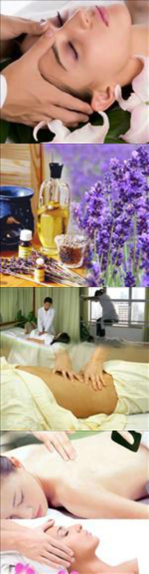 南京新未来瘦身健体有限公司（李琴经络）   减肥  中医 调理  养生 经络