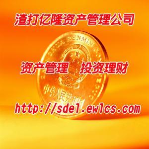 河北渣打亿隆资产管理有限责任公司⑴是由多家具雄厚资本实力与广泛背景资源的股东发起设立的从事投资银行业务的专业机构。其业务定位是专注于资产管理、投资理财、代理金融产品销售、财务顾问、企业策划、企业管理以及企业投资、融资咨询服务等。