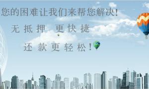 宜信是中国领先的从事个人信用贷款咨询与管理的专业性服务平台，在中国率先推出“个人对个人”（“Peer to Peer” 或称“P2P”）的信用贷款和财富管理服务。⑴