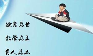 瑶溪五小创办于一九九四年，前身由环一小学、河滨小学合并而成，原名环河小学，曾改名为瑶溪镇第二小学， 是一所理想的健康向上、绿色环保的学校。⑴