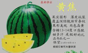 瓜菜种植:正定县天丰瓜菜种植专业合作社是发展绿色蔬菜种植的。主要生产“绿蜜冠”品牌的西瓜、茄子、西葫芦、冬瓜、胡萝卜、豆角、大白菜、A级绿色茄子等产品。⑴