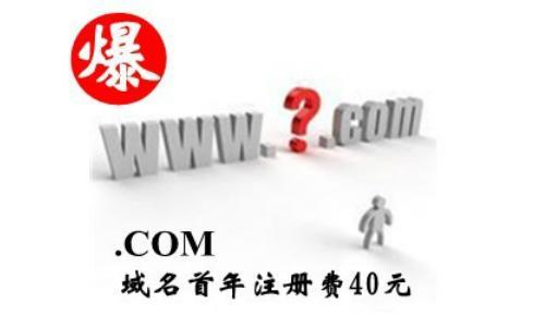 世纪网络科技有限公司 业务范围：淘宝商城托管、网店运营推广、客服整体推广、网路品牌打造、各类网站建设、企业邮箱、400号码等 【5.13】COM域名首年注册费用仅需40元