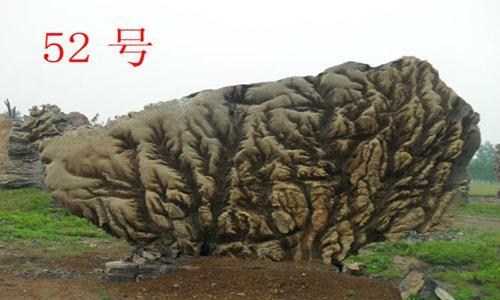 景观石，在城市景观设计中的地位也水涨船高。当人们用手触摸或漫步其上之时，是否可以感受到它的思想，感受到它带给你愉悦的心情，感受到自然之美与城市之美的完美融合，感受这份独特的意境之美。关键词：景观石；景观石应用；景观石在园林环境中的作用主要以观赏为主