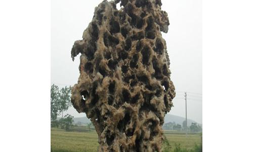 具有高吸水性的景观石，能用于景观喷水池等成果。有些景观景观石对热量的汲取本领比其他 　　的强，颜色较暗的景观石汲取更多的光热。