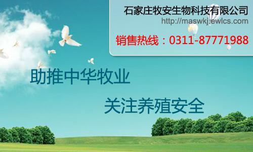 公司以市场为导向、以研发为根本、以销售为核心、以服务为宗旨，将大量的资金投入向了研发当中，正在建设中的国家级禽病实验室将于13年初投入使用，届时将实现药品分析、药品检测、病理实验、禽病诊断、远程服务五大功能，更强的服务于市场。
